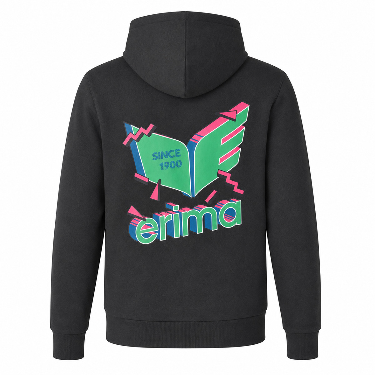 ERIMA Heritage Hoodie mit Backprint – schwarz (Front)