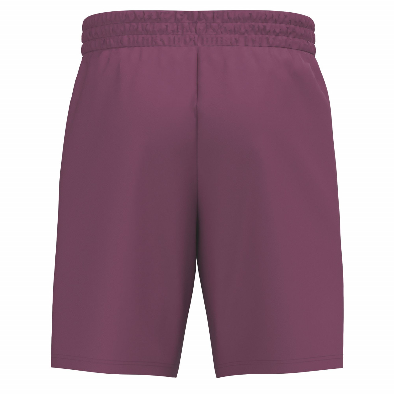 ERIMA CELEBRATE 125 Shorts – burgundy (Rücken)