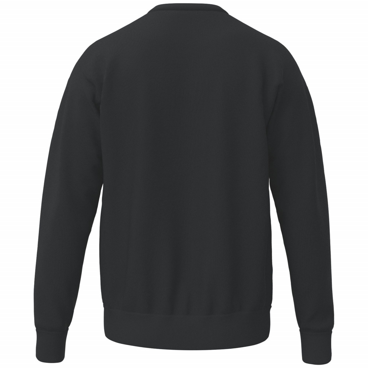 ERIMA TS Sweatshirt – schwarz (Rücken)