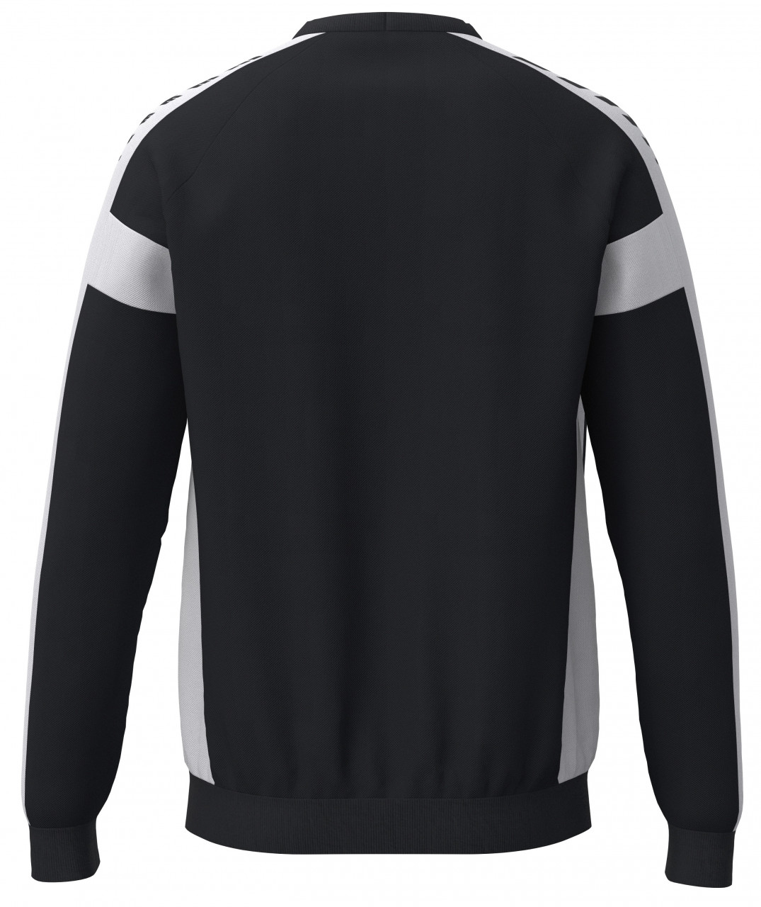 ERIMA CMPT Wings Sweatshirt GK – schwarz/weiß (Rücken)