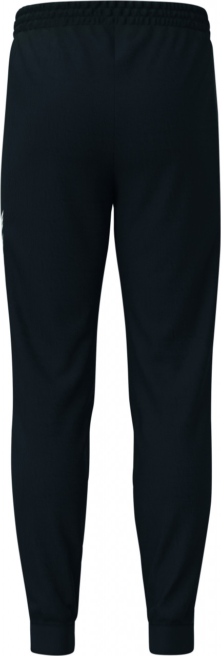 ERIMA CMPT WINGS Sweathose – schwarz (Rücken)