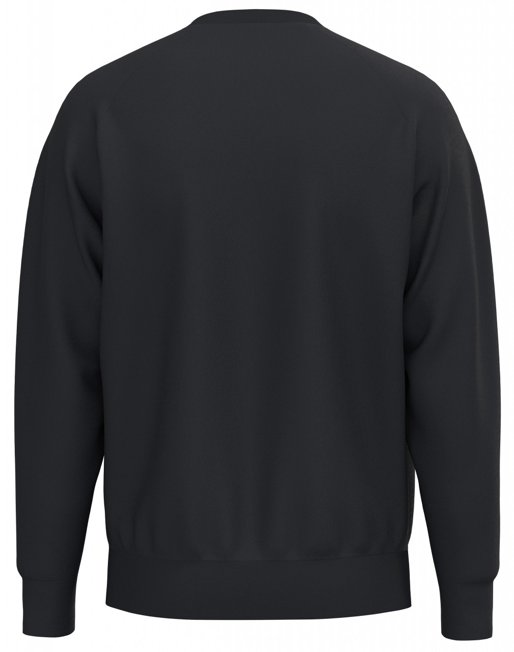 ERIMA PREMIA Sweatshirt – schwarz (Rücken)