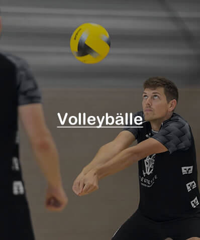 media/image/volleyball-volleybaelle.jpg