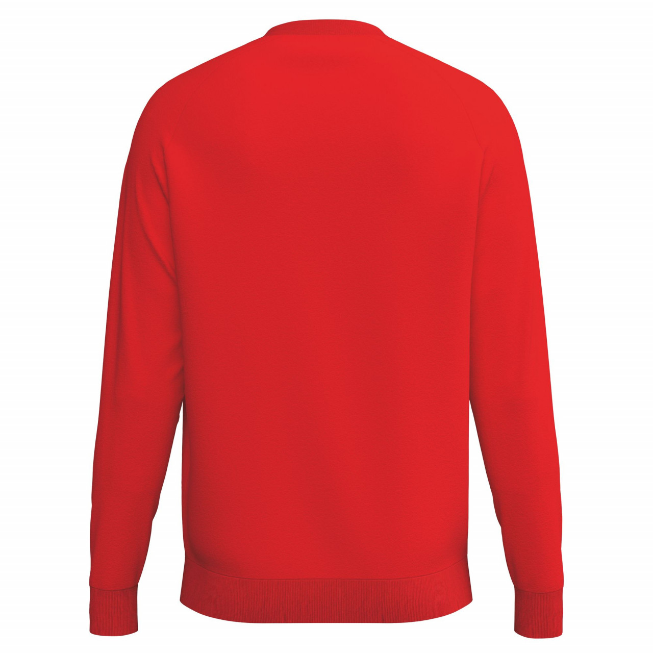 ERIMA CMPT Wings Sweatshirt – rot (Rücken)